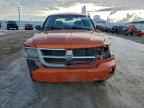 2010 DODGE Dakota