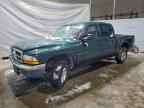 2001 DODGE Dakota