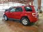 2010 FORD ESCAPE