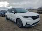 2024 KIA Carnival