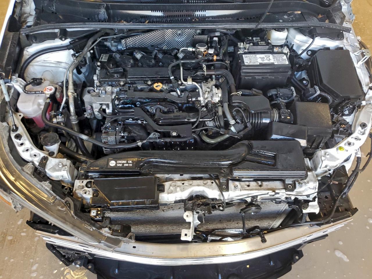 2023 TOYOTA COROLLA