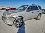 2009 FORD ESCAPE