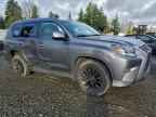 2022 LEXUS GX 460
