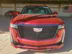 2024 CADILLAC ESCALADE