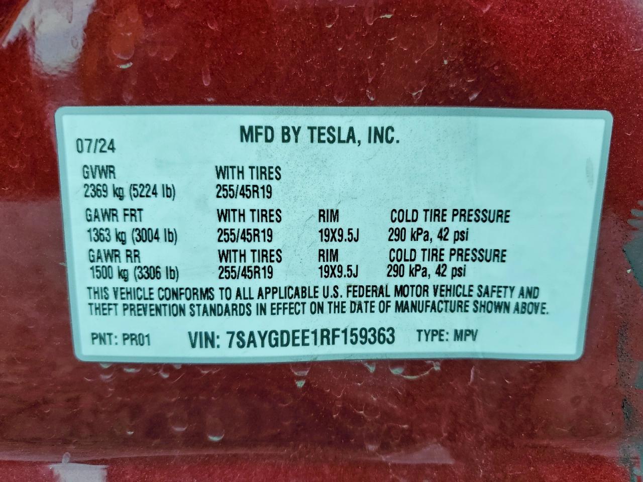 2024 TESLA MODEL Y
