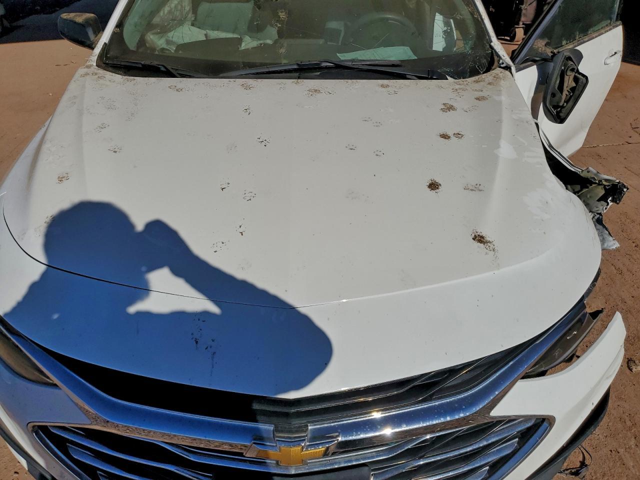 2019 CHEVROLET MALIBU
