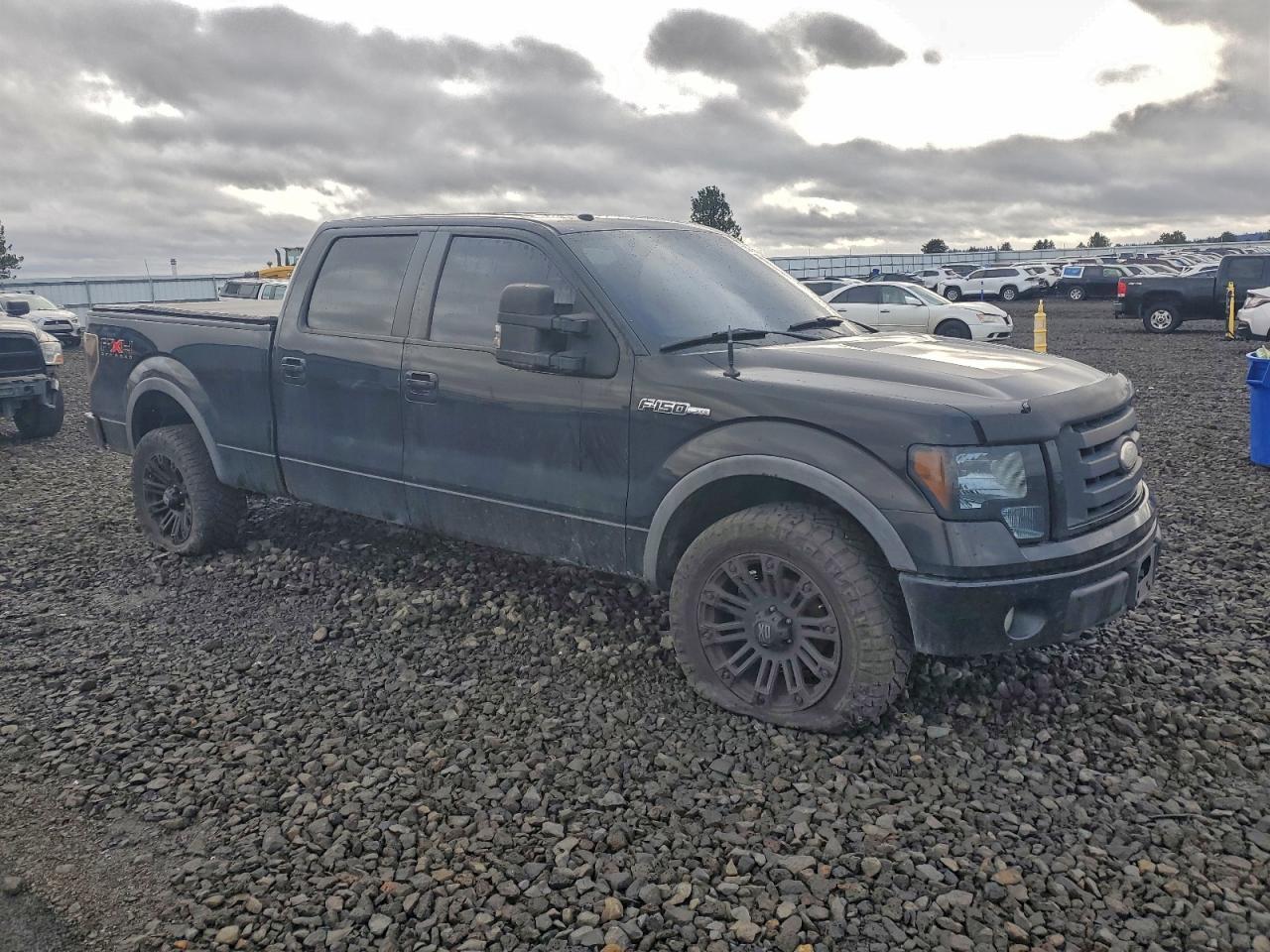 2009 FORD F-150