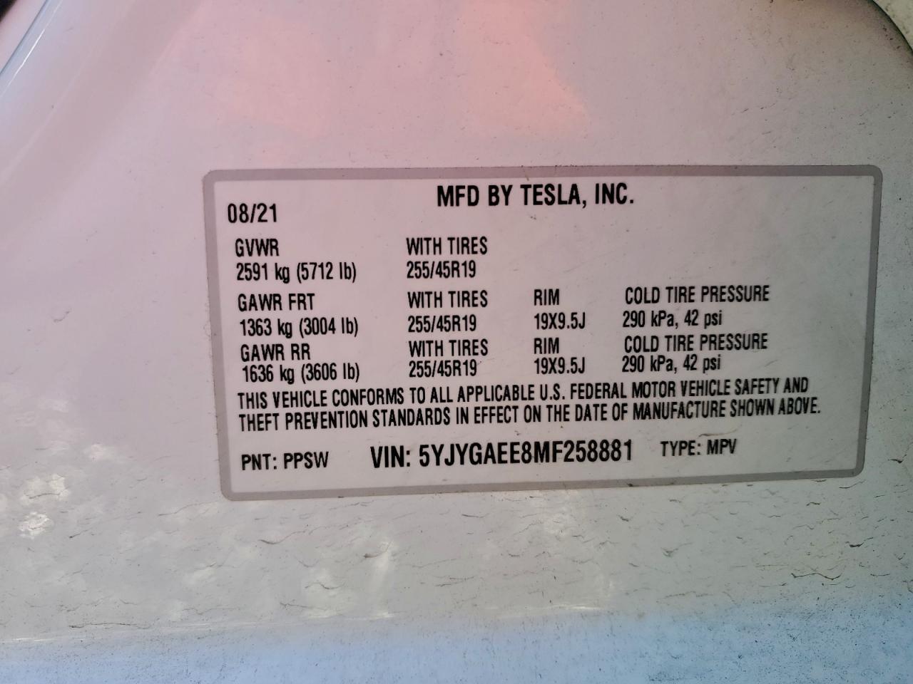 2021 TESLA MODEL Y