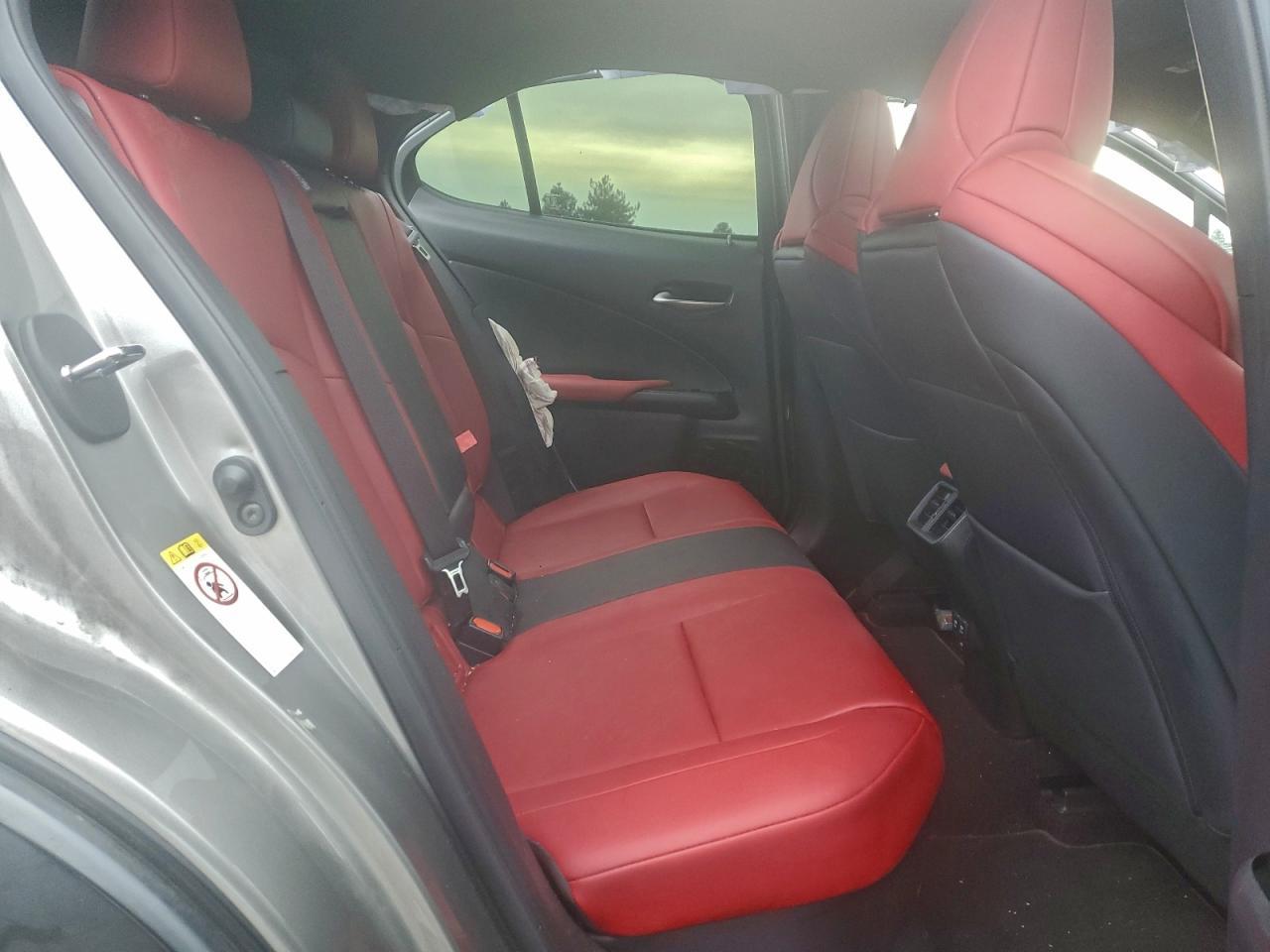 2019 LEXUS UX 250H