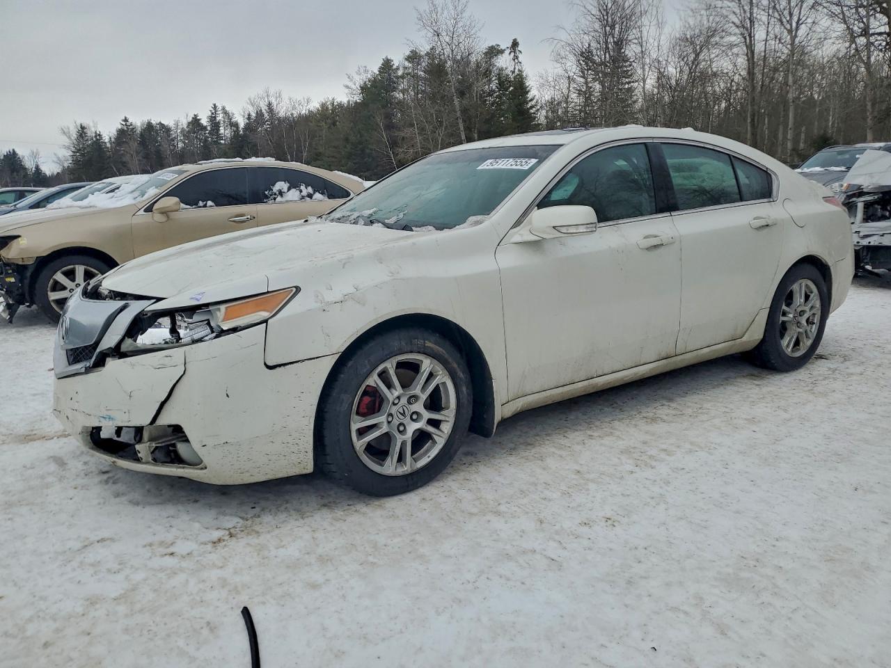 2010 ACURA TL