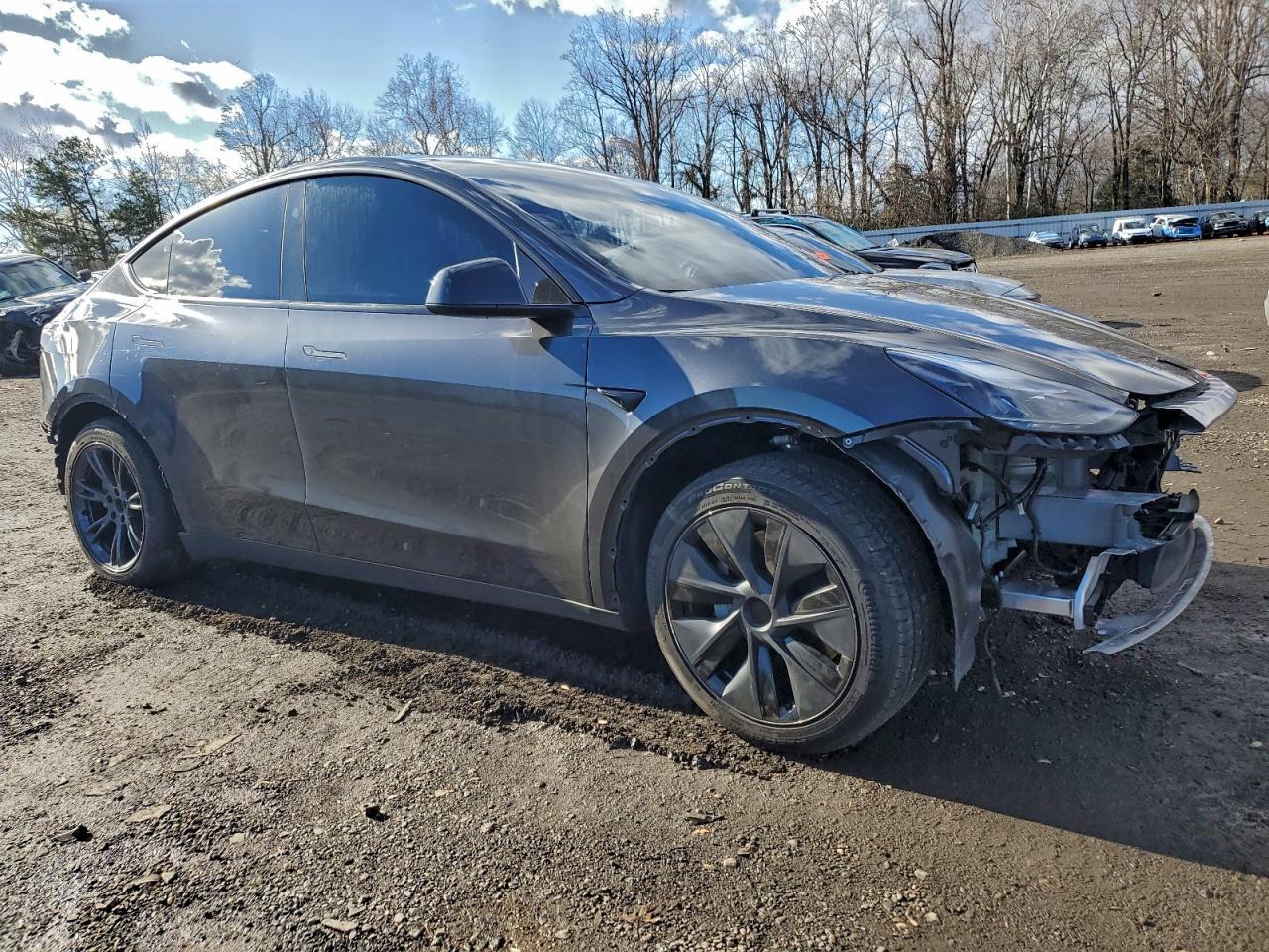 2025 TESLA MODEL Y