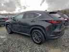 2025 LEXUS NX 250