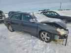 2005 TOYOTA Avalon