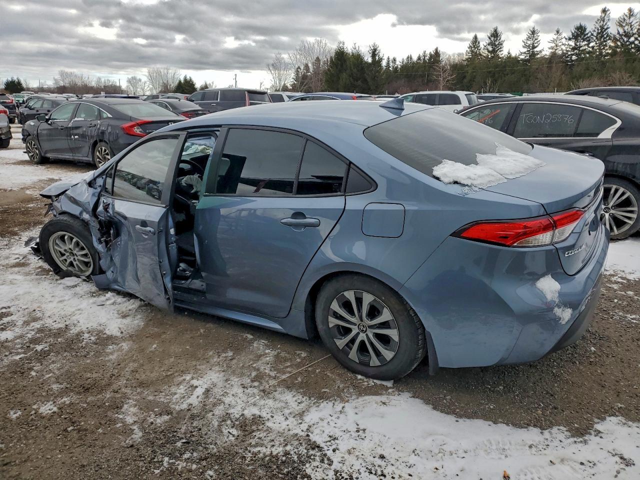 2024 TOYOTA COROLLA