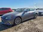 2020 LEXUS ES 350