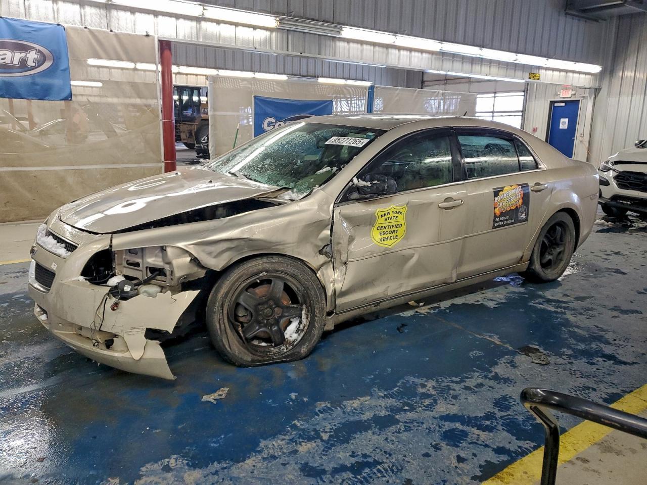 2010 CHEVROLET MALIBU