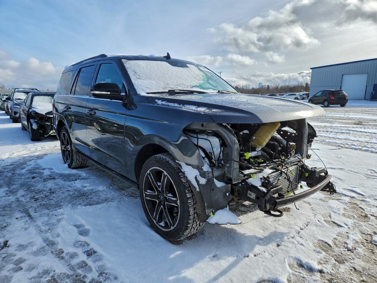 2019 FORD Expedition