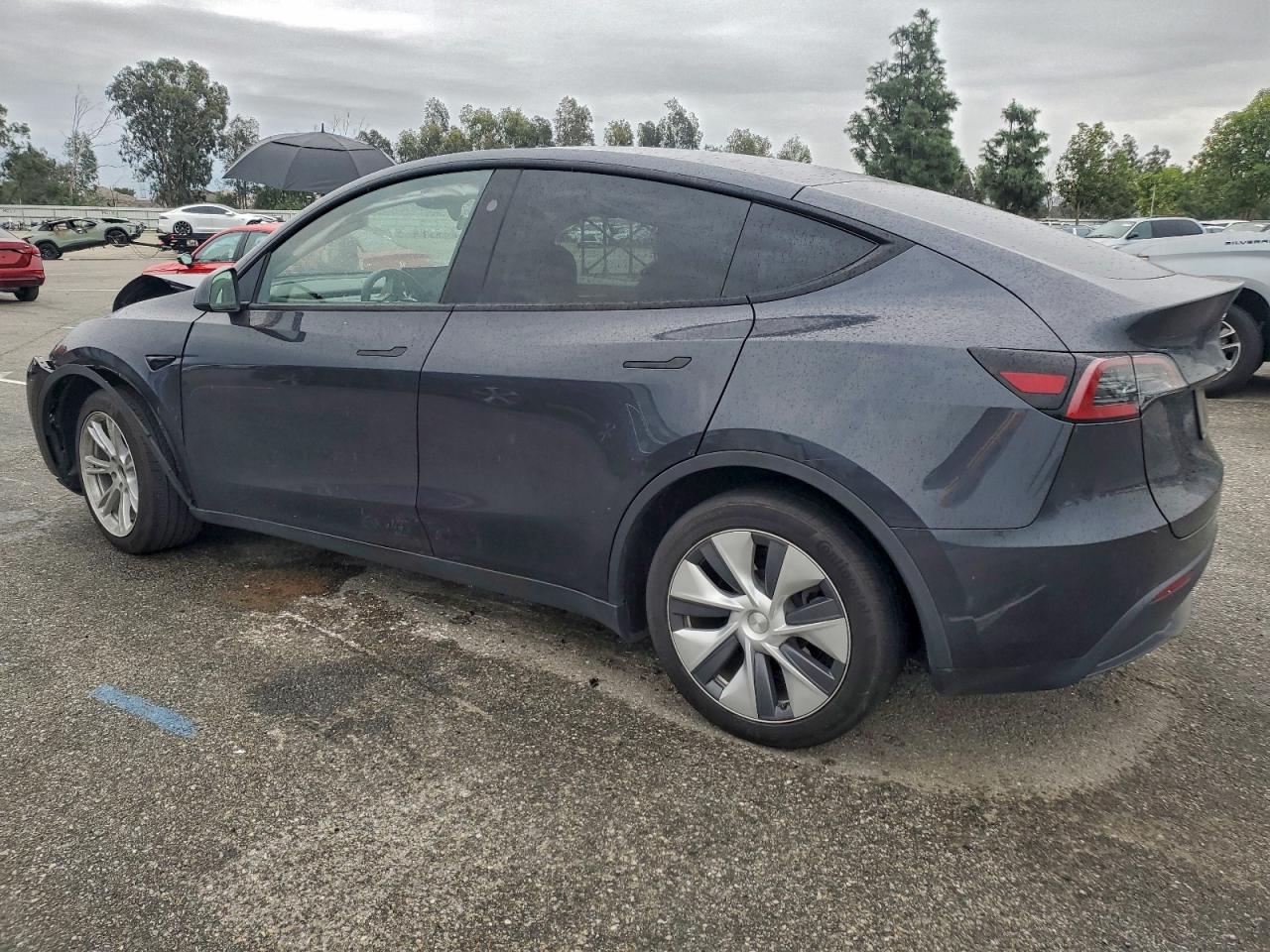 2024 TESLA MODEL Y