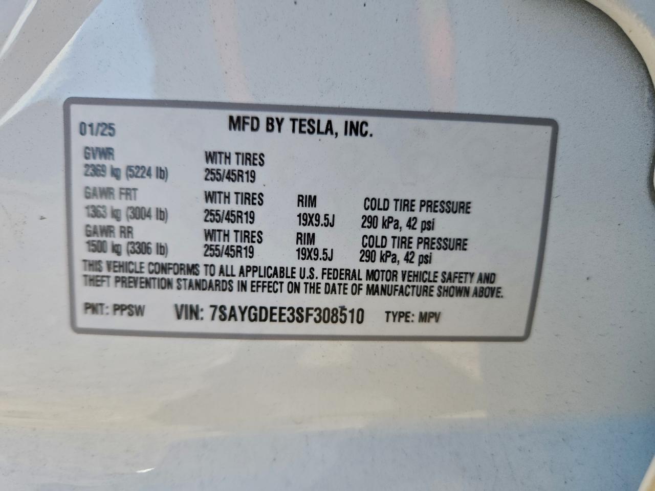2025 TESLA MODEL Y