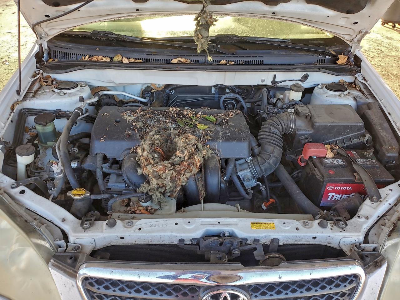 2006 TOYOTA COROLLA