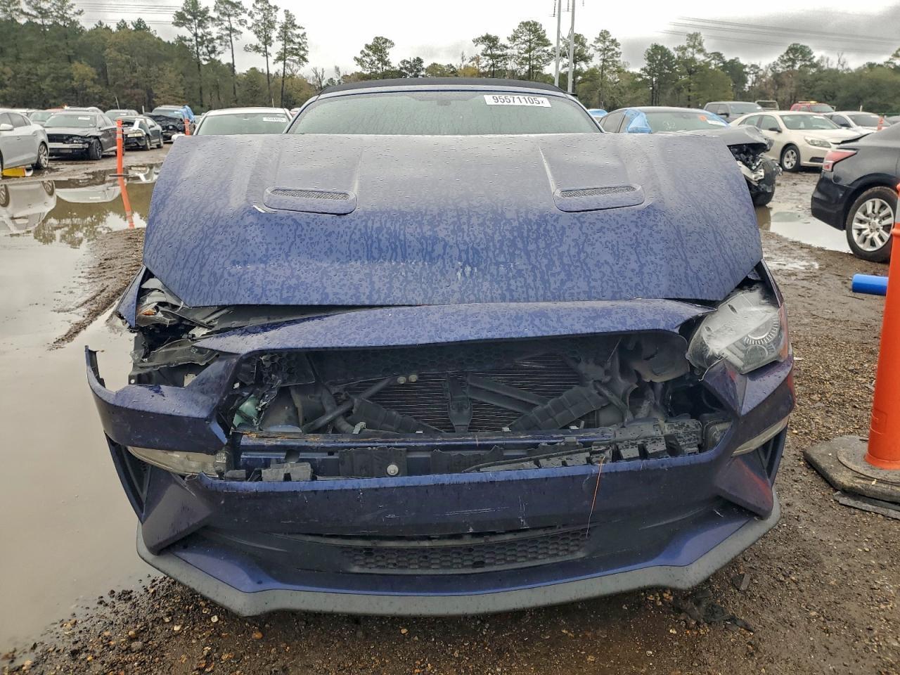 2019 FORD MUSTANG