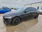 2024 JAGUAR XF