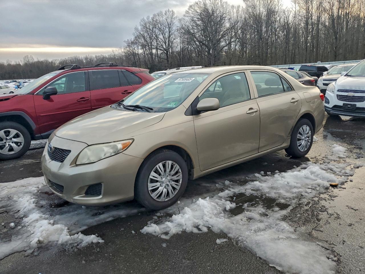 2010 TOYOTA COROLLA