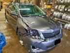2009 TOYOTA COROLLA
