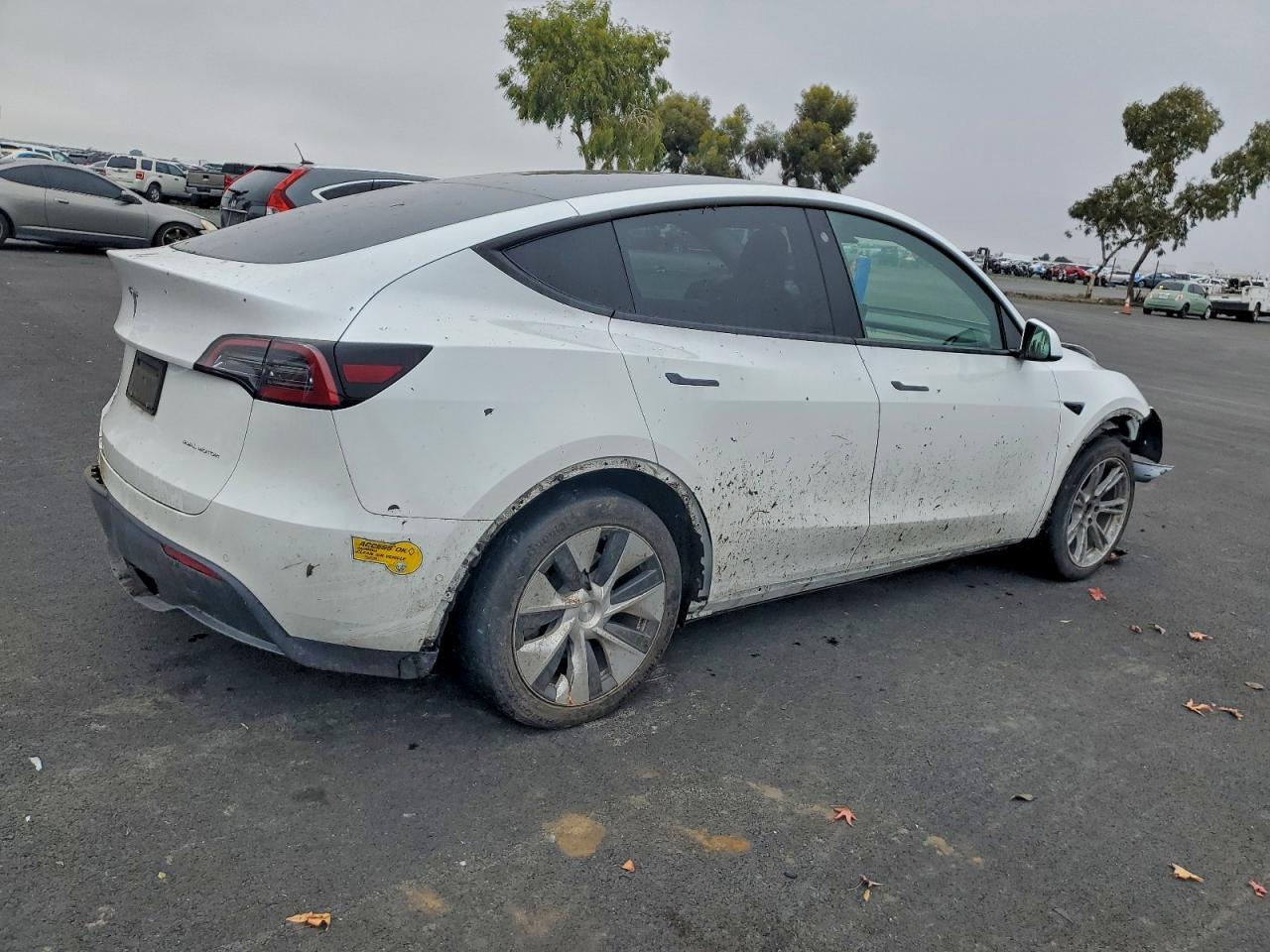 2021 TESLA MODEL Y