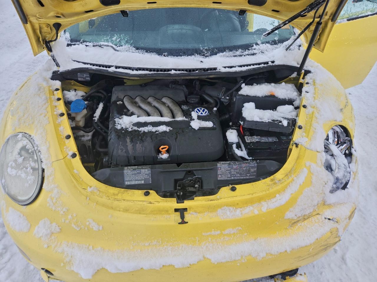 2000 VOLKSWAGEN Beetle