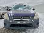 2005 HONDA CR-V