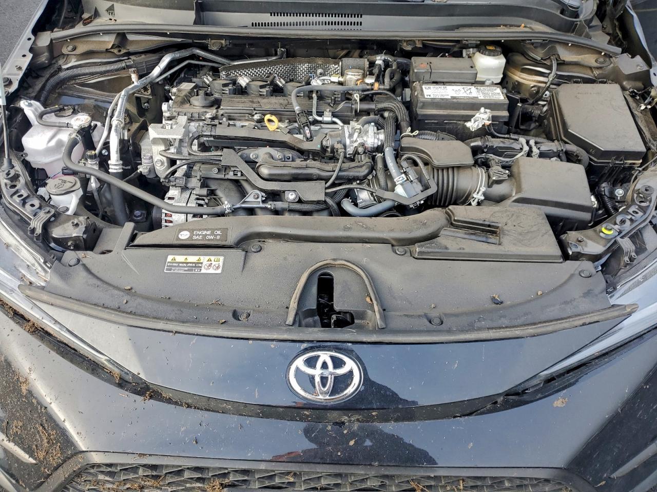 2025 TOYOTA COROLLA