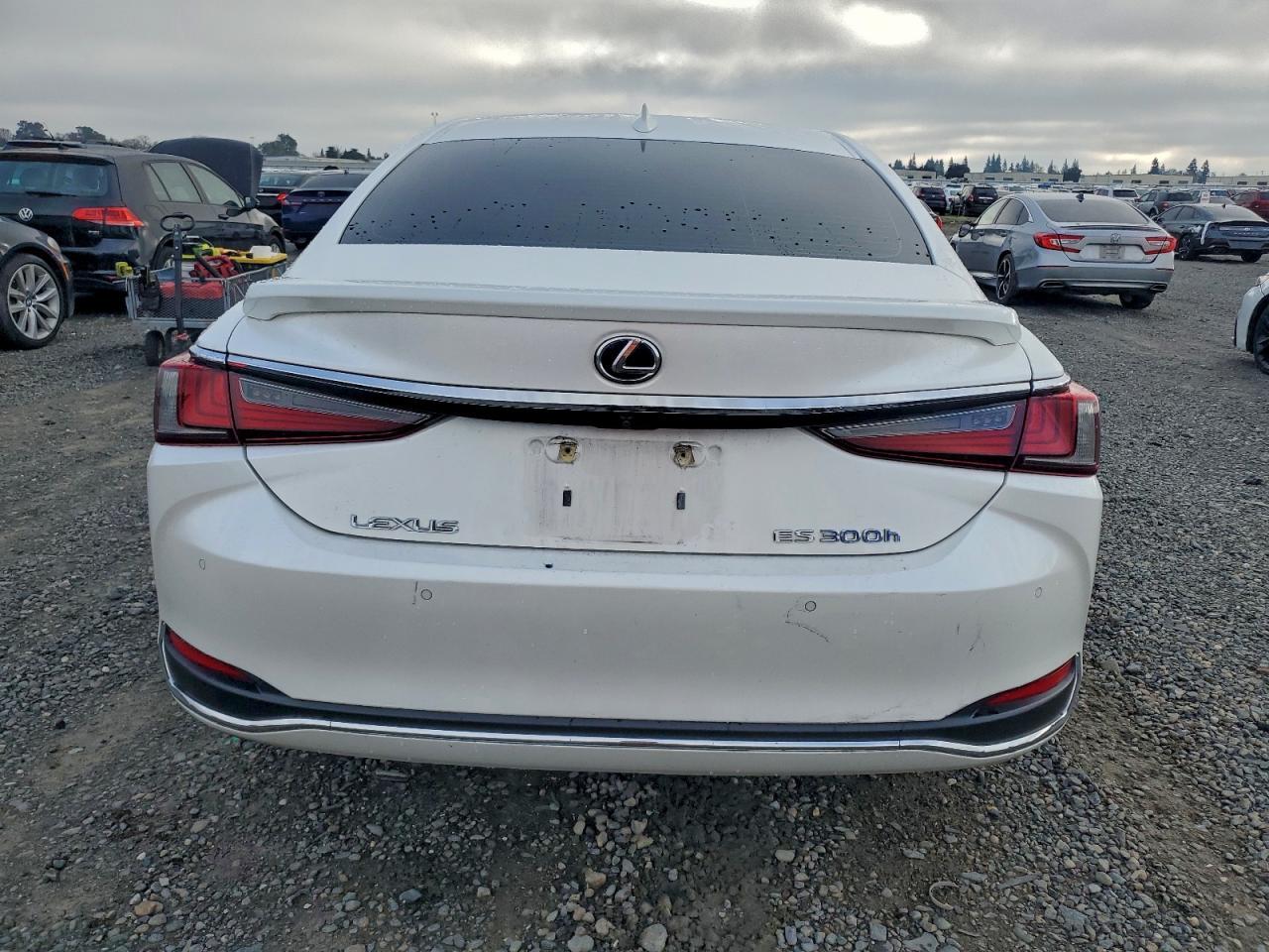2019 LEXUS ES 300H