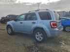 2008 FORD ESCAPE