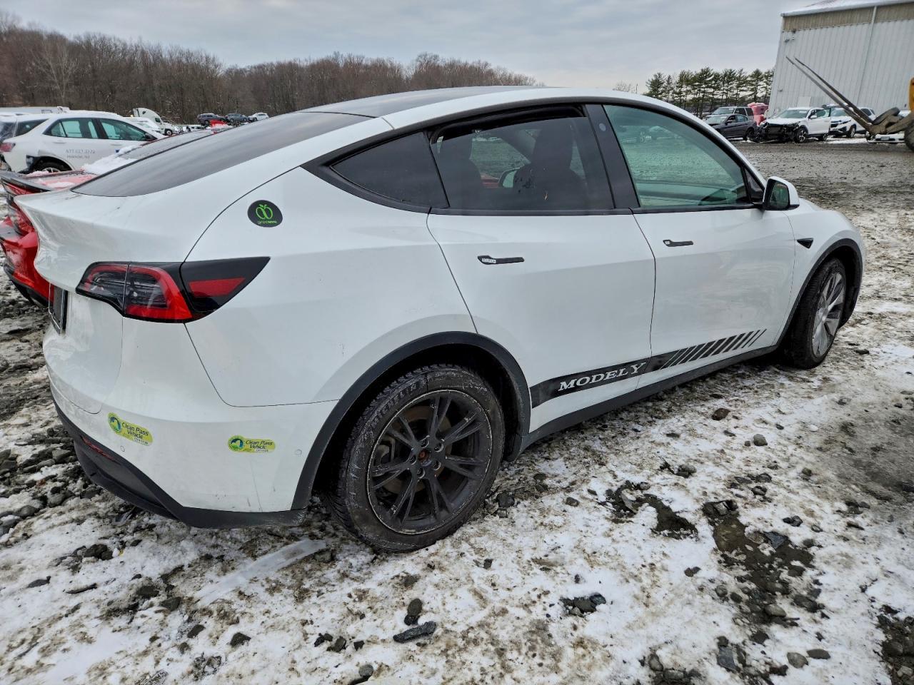 2021 TESLA MODEL Y