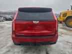 2024 CADILLAC Escalade ESV
