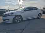 2012 KIA Optima Hybrid