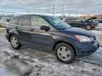 2010 HONDA CR-V