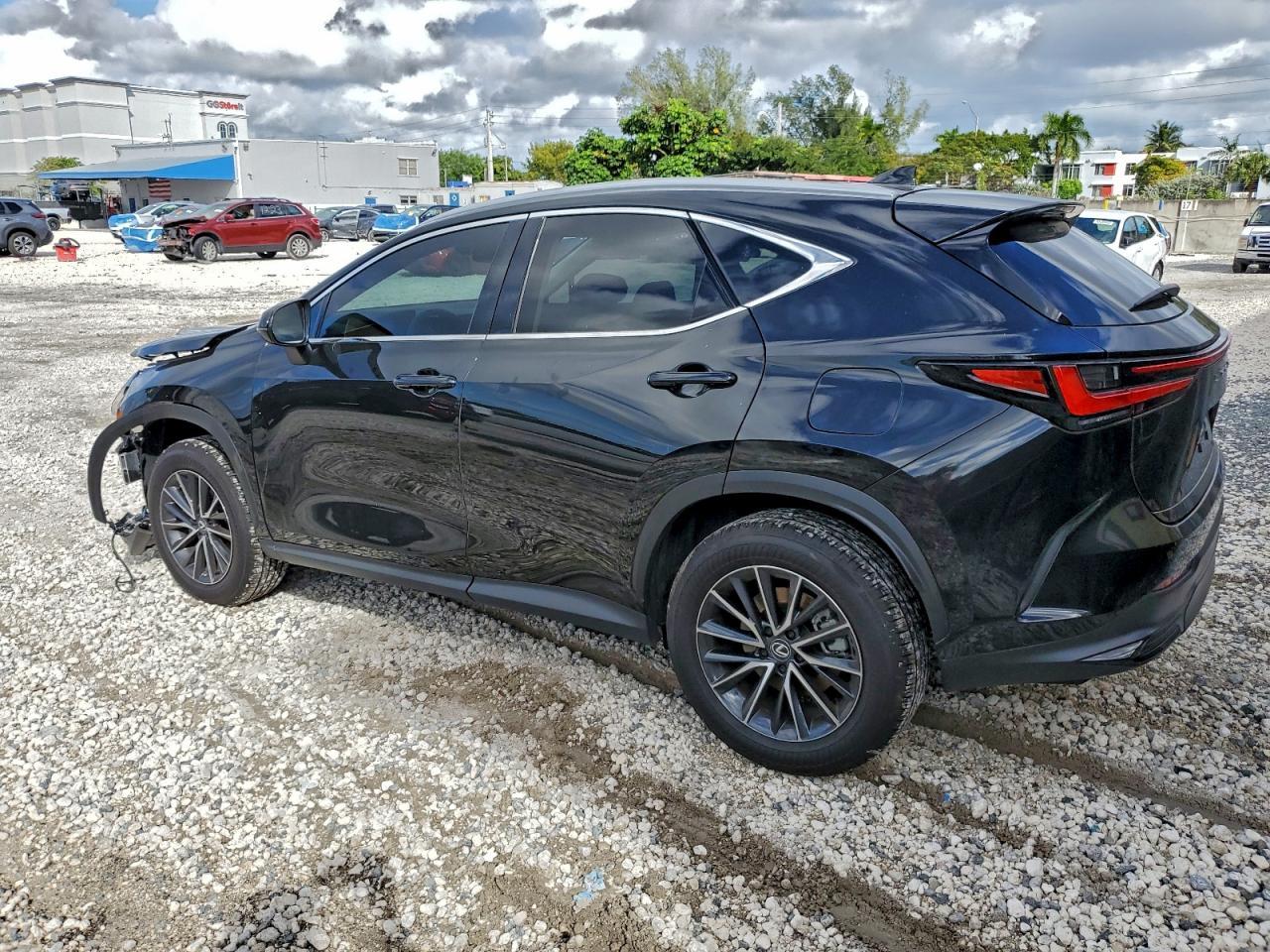 2025 LEXUS NX 250