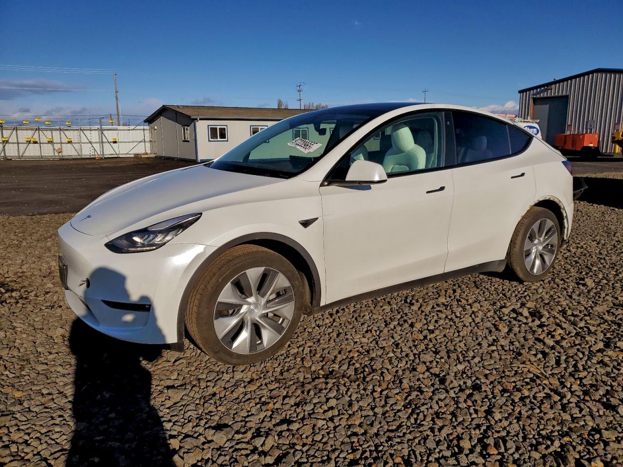 2021 TESLA MODEL Y