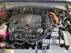 2024 TOYOTA HIGHLANDER