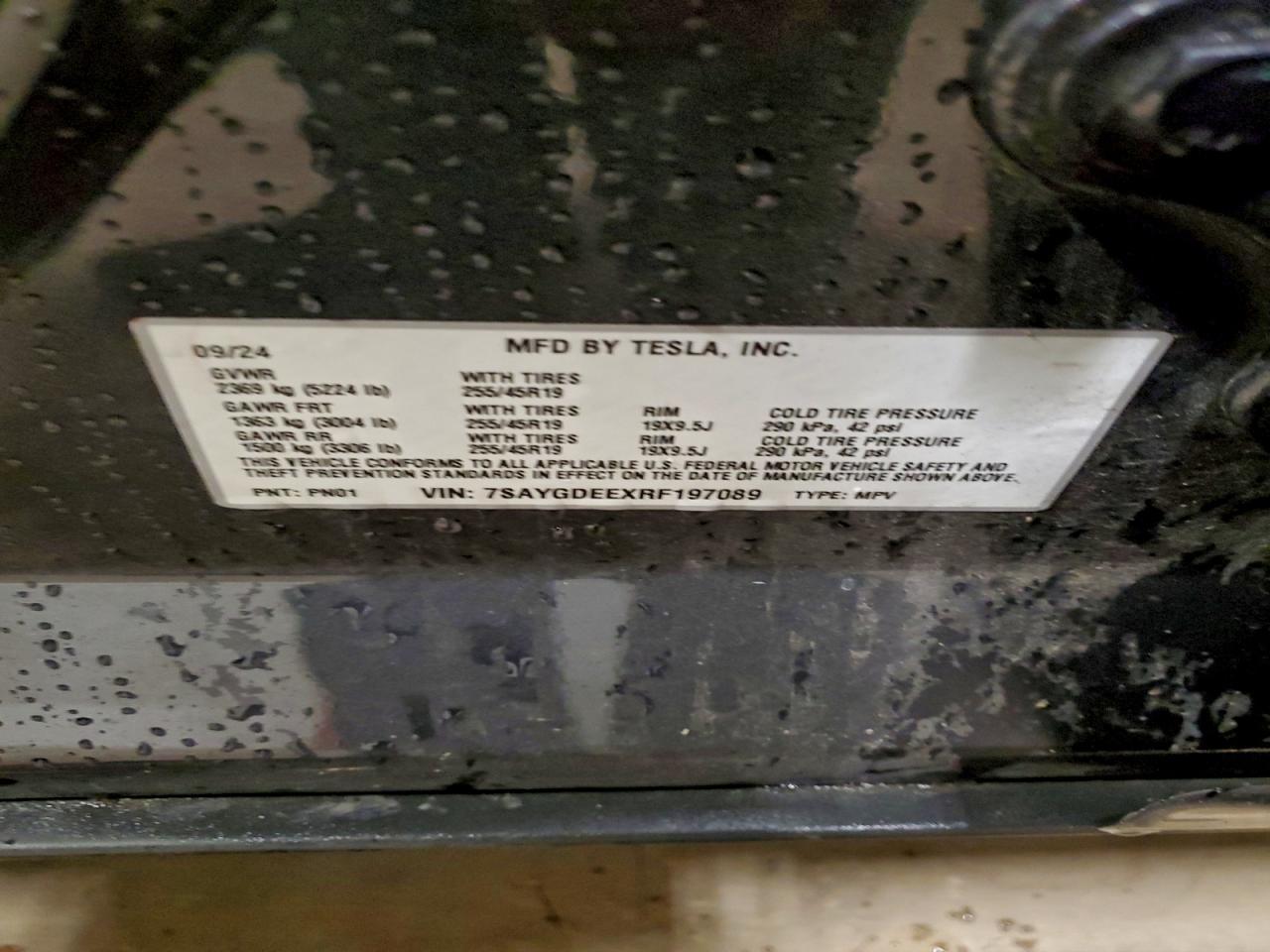 2024 TESLA MODEL Y
