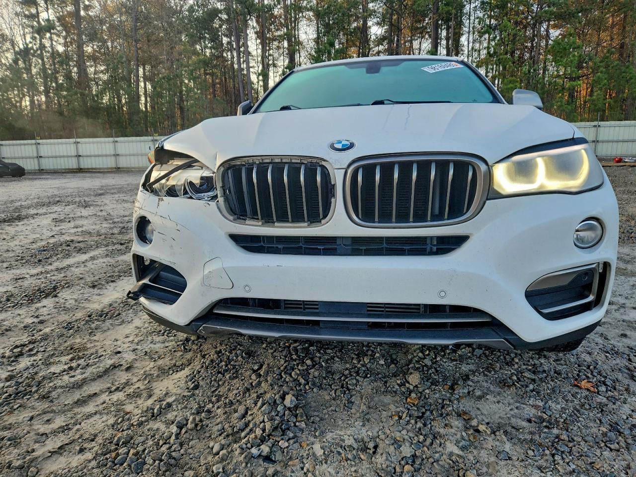 2017 BMW X6