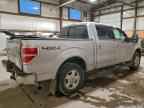 2009 FORD F-150