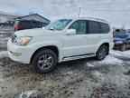 2009 LEXUS Gx 470
