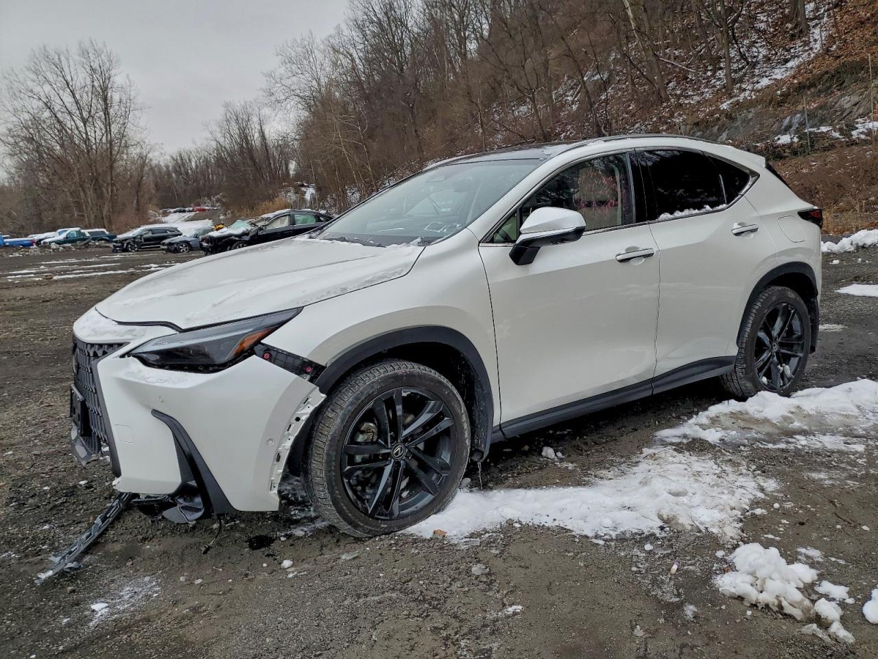 2025 LEXUS Nx