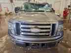 2009 FORD F-150
