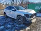 2024 LEXUS RX 350H