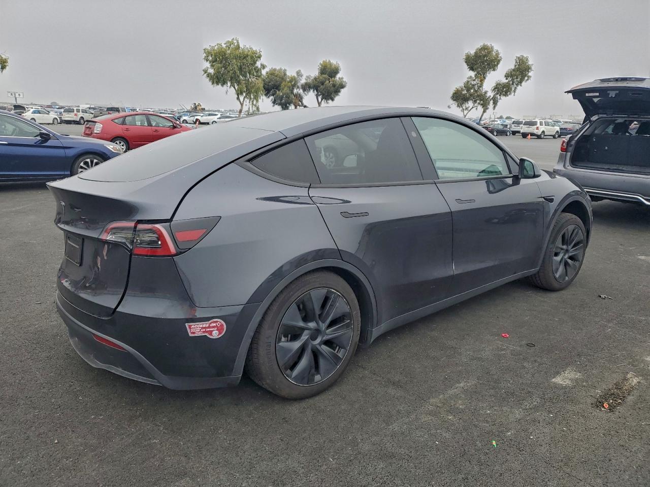 2024 TESLA MODEL Y