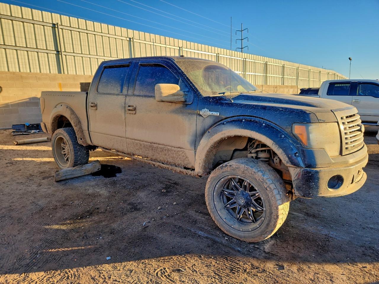 2010 FORD F-150